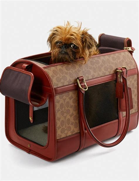 replica coach dog carrier|coach dog accessories.